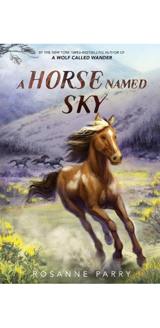 Horse Named Sky