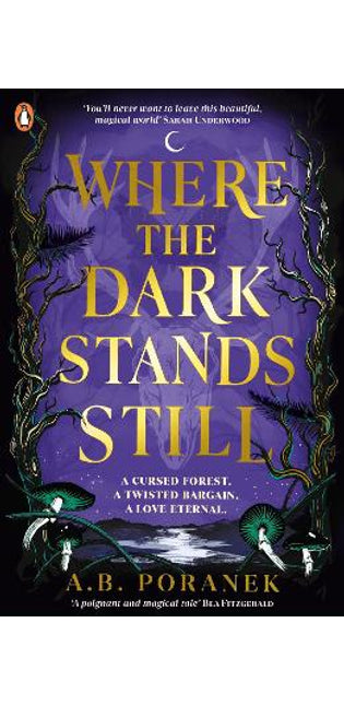 Where the Dark Stands Still