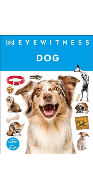 Eyewitness Dog