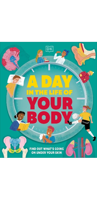 Day in the Life of Your Body