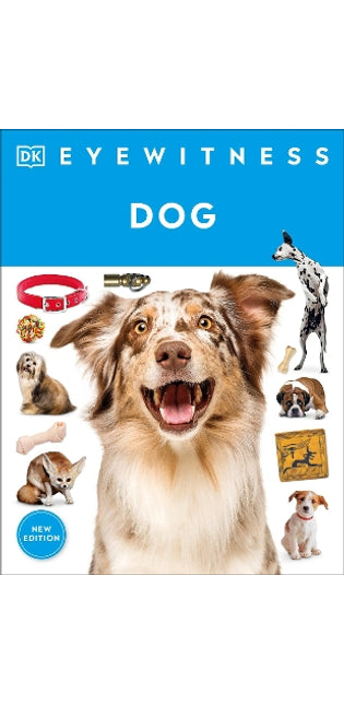 Eyewitness Dog