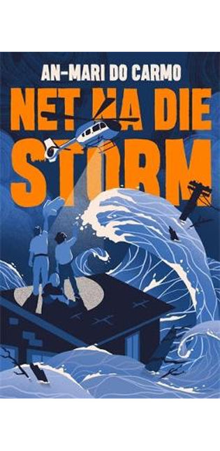 Net na die storm