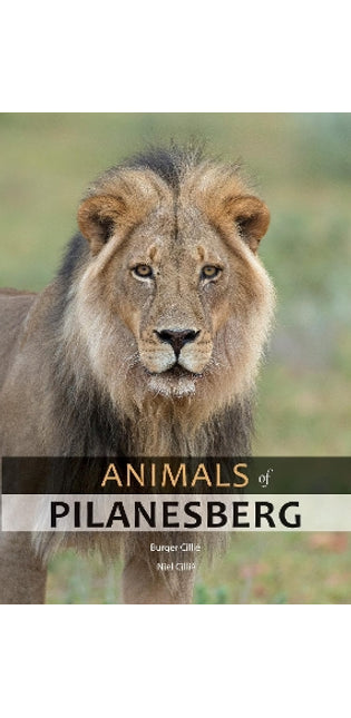 Animals of Pilanesberg