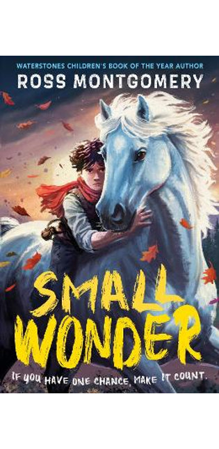 Small Wonder