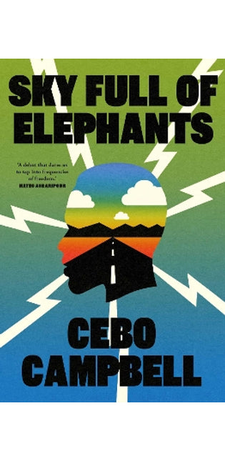 Sky Full of Elephants