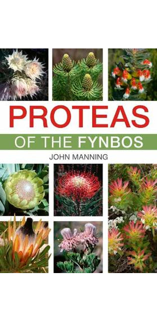 Proteas of the Fynbos