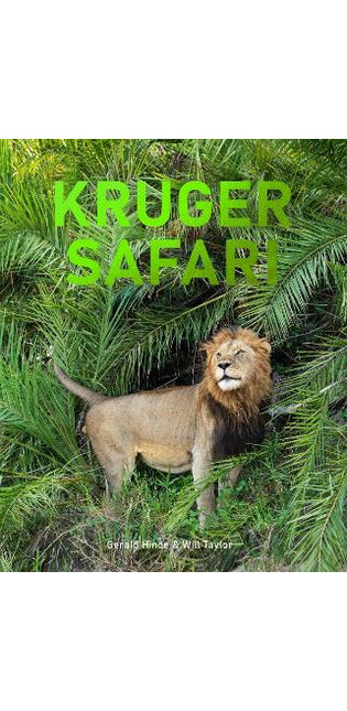 Kruger Safari