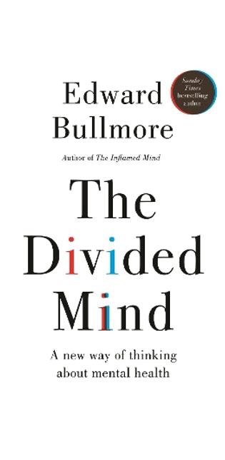 Divided Mind