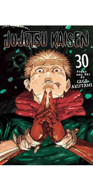 Jujutsu Kaisen, Vol. 30