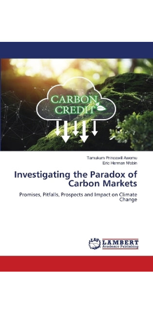 Investigating the Paradox of Carbon Markets