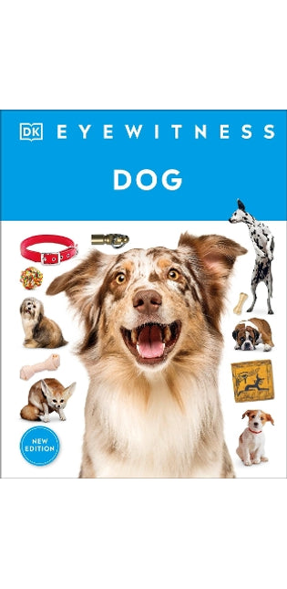 Eyewitness Dog