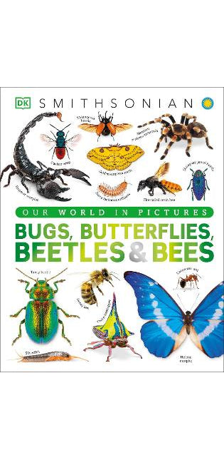 Our World in Pictures Bugs, Butterflies, Beetles and Bees