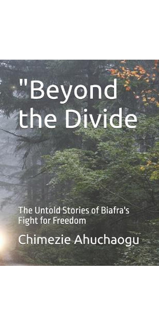 "Beyond the Divide
