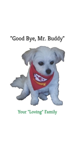 "Good Bye, Mr. Buddy"