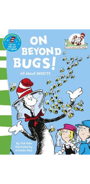 On Beyond Bugs