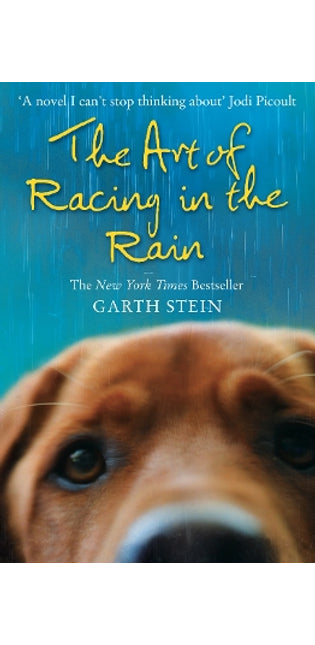 Art of Racing in the Rain