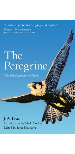Peregrine