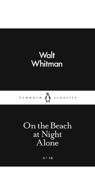 On the Beach at Night Alone