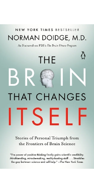 Brain That Changes Itself