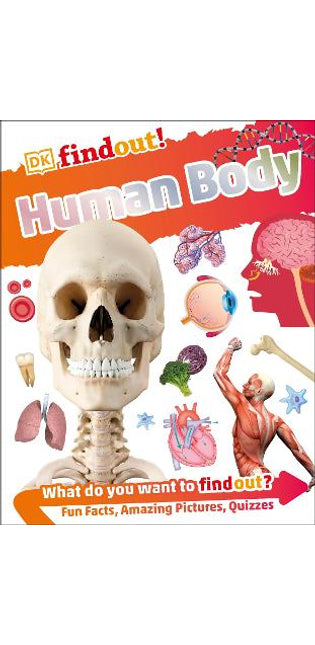 DKfindout! Human Body