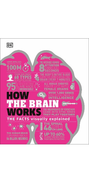 How the Brain Works