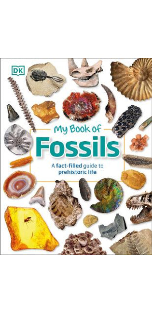 My Book of Fossils