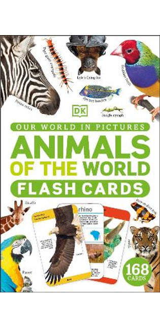 Our World in Pictures Animals of the World Flash Cards
