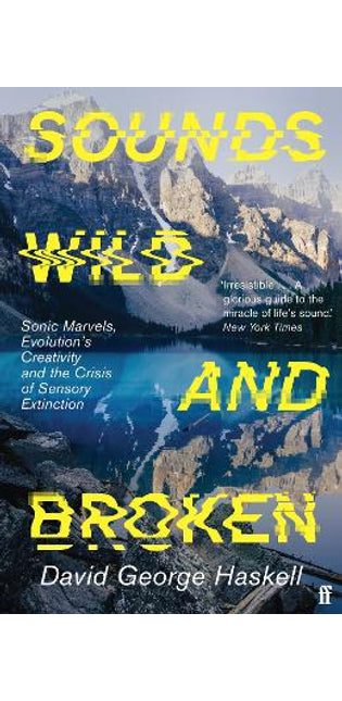 Sounds Wild and Broken