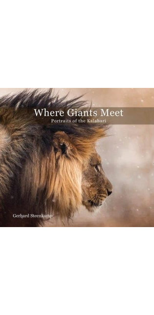 Where giants meet