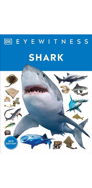 Eyewitness Shark