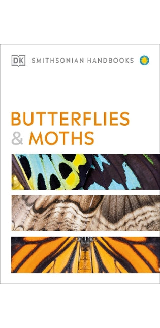 Butterflies and Moths