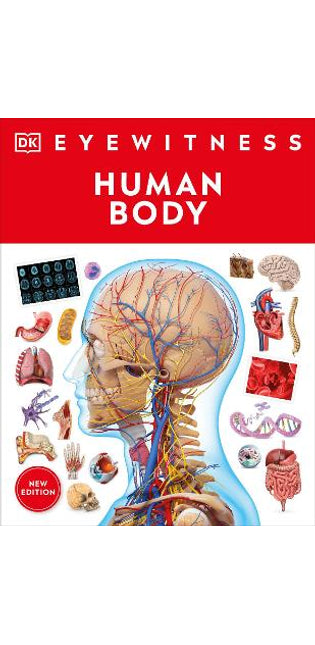 Eyewitness Human Body