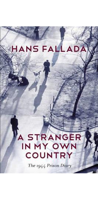 Stranger in My Own Country