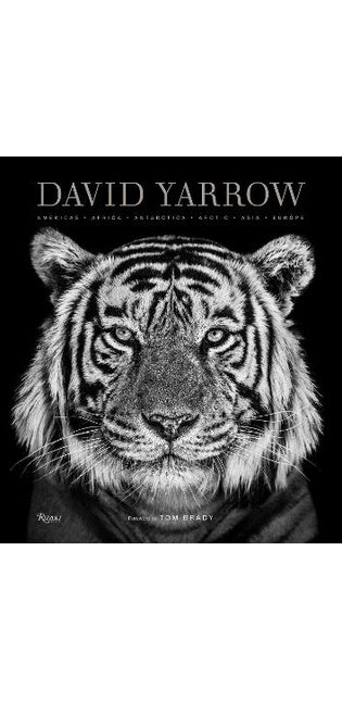 David Yarrow Photography