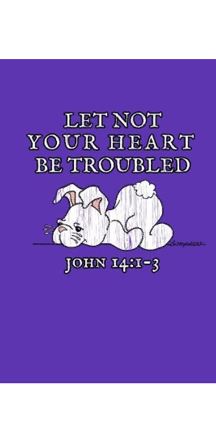 Let not your heart be troubled John 14