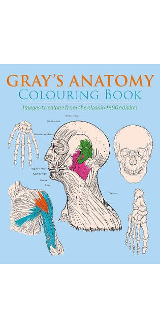 Gray's Anatomy Colouring Book
