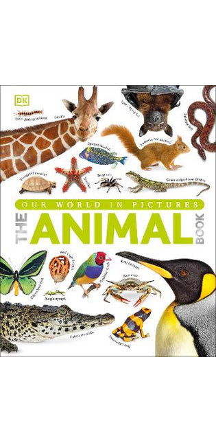 Our World in Pictures The Animal Book