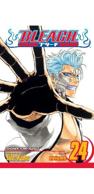 Bleach, Vol. 24