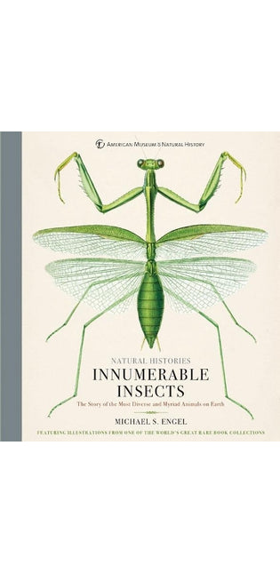 Innumerable Insects