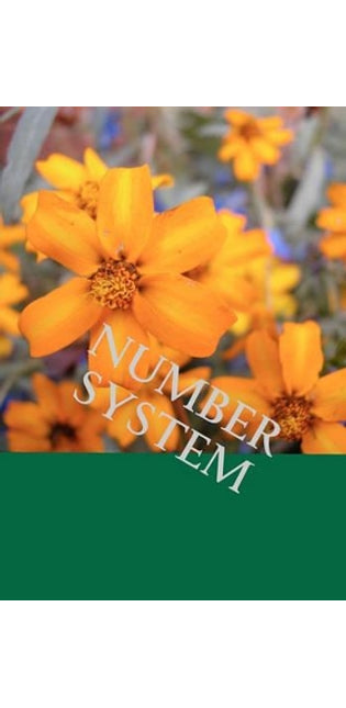Number system