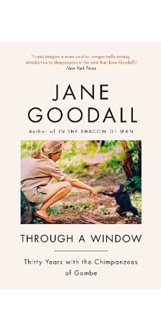 Through A Window