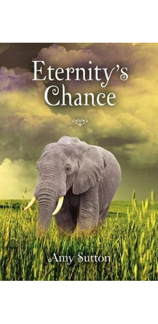 "Eternity's Chance"