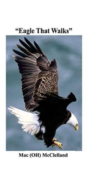 "Eagle That Walks"