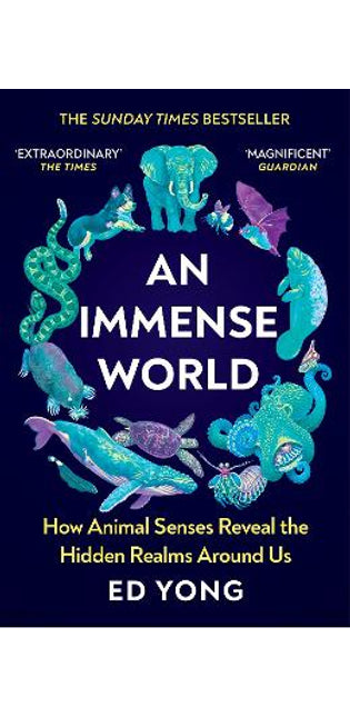 Immense World