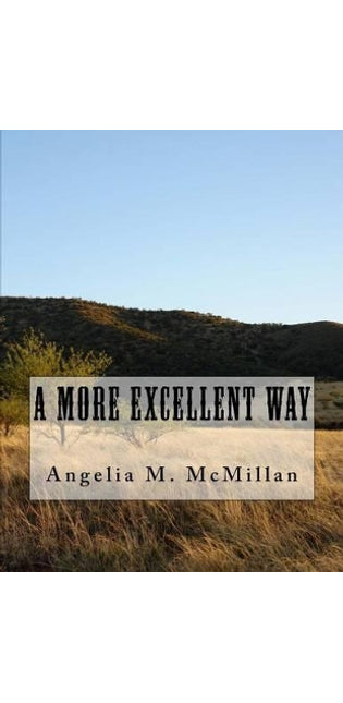 "A More Excellent Way"