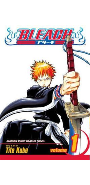 Bleach, Vol. 1