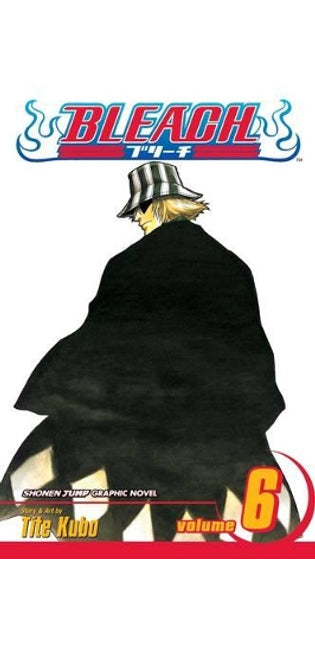Bleach, Vol. 6