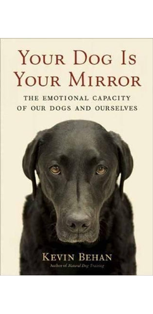 Your Dog is Your Mirror
