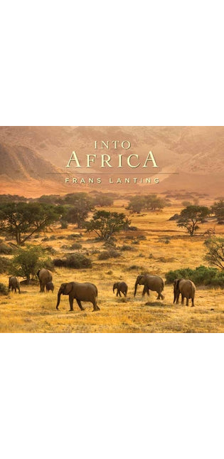 Into Africa