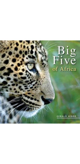 Big Five of Africa